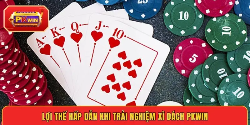 loi-the-hap-dan-khi-trai-nghiem-xi-dach-pkwin