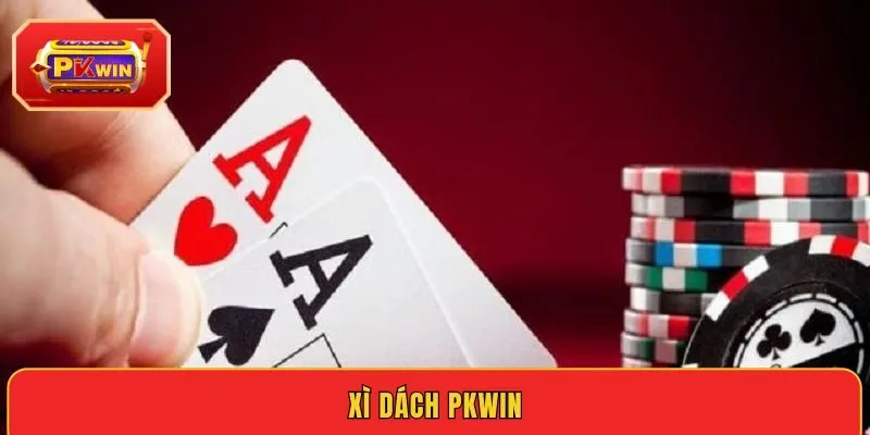 xi-dach-pkwin